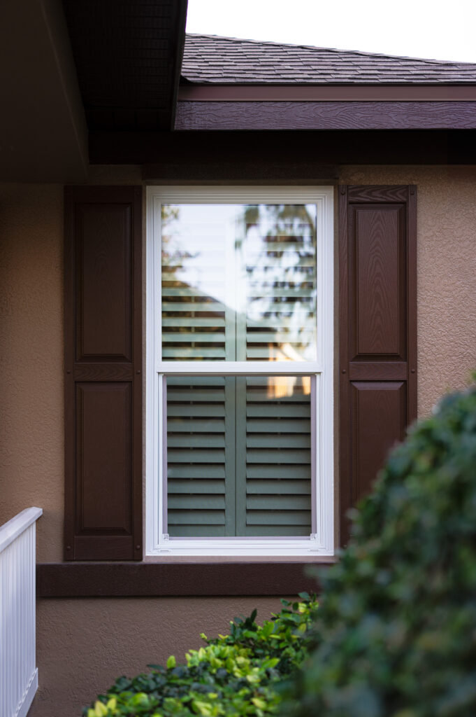 Window project